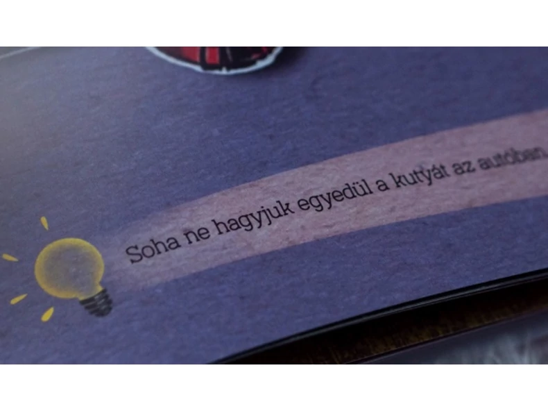 10 dolog, amit az OKOSJELEKből megtanul a gyermeked