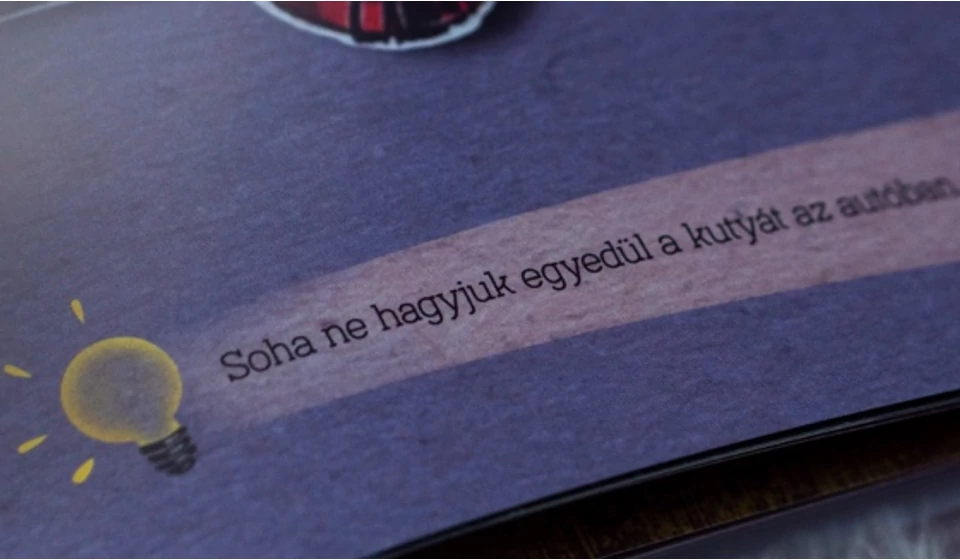 10 dolog, amit az OKOSJELEKből megtanul a gyermeked